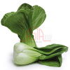 Cai lun - Shanghai pakchoi big - Bilde 2