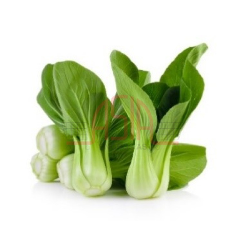 Cai lun - Shanghai pakchoi Mini NL - Bilde 2