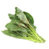 Young kale/ cai ro nho 200gr - Bilde 2