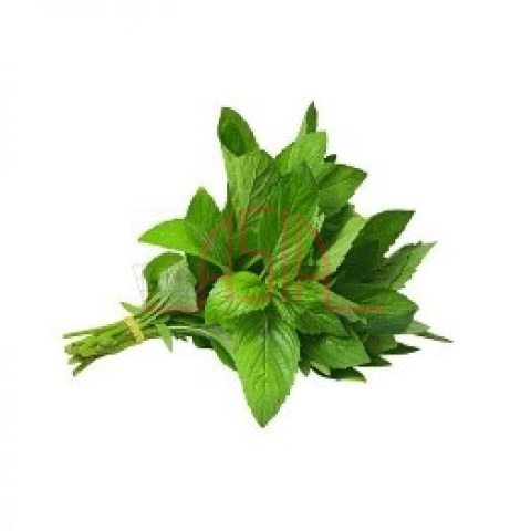 Herp mint/hung cay 100g - Bilde 2