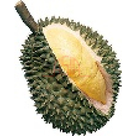 Durian whole 5-6Pcs 10Kgs - Bilde 3