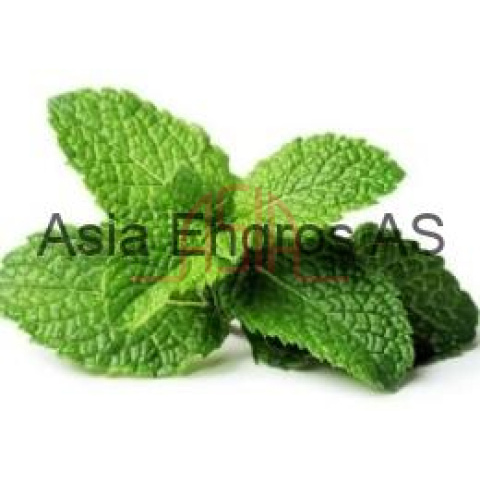 Peppermint/ hung lui - Bilde 2