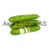 Bottle Gourd