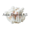Shimeji Mushroom White 150G