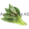 Young kale/ cai ro nho 200gr