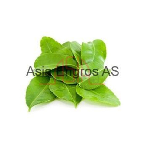 Makrut Leaf/lime leaf/a chanh 50Gr