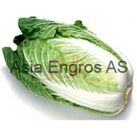 Chinese cabbage