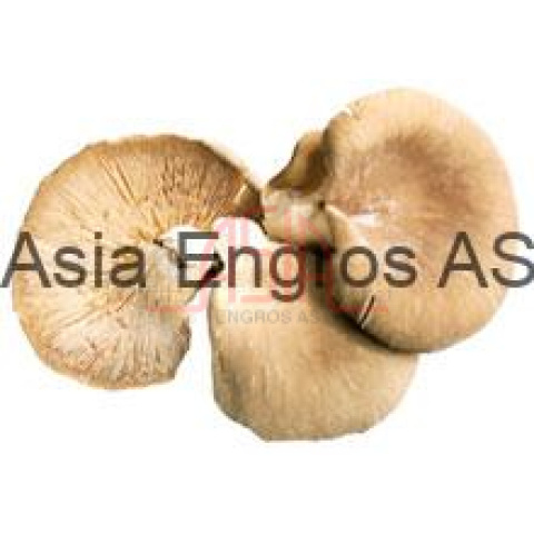 Nam tai meo/jew mushroom